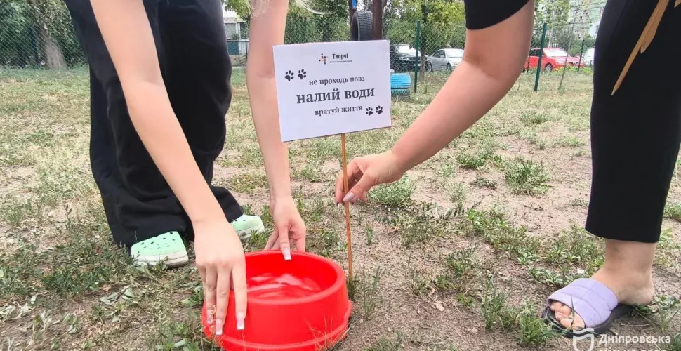 у Дніпрі встановлено понад 30 поїлок для безпритульних тварин