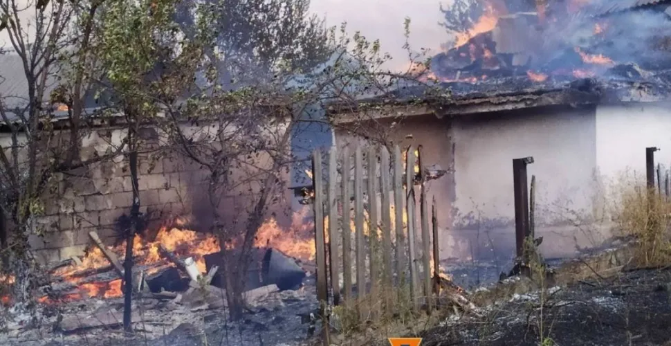 Вогонь забрав у людей житло: наслідки лісової пожежі у Миколаївці