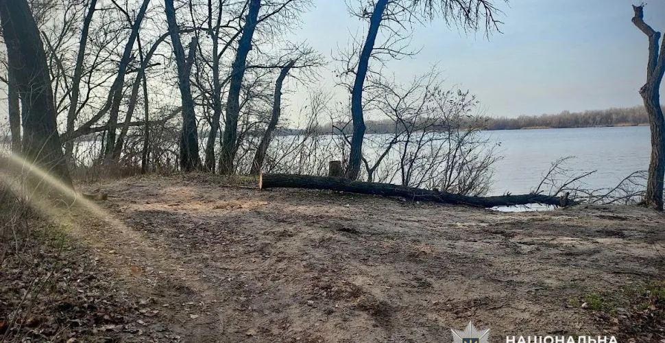 У Таромському чоловік незаконно вирубував дерева: лісоруба затримали