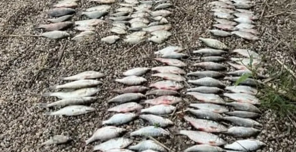 На Кам’янському водосховищі піймали молодого браконьєра