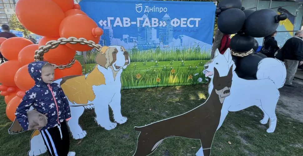 Кінологічний фестиваль «Гав-Гав Фест – 2025» відбувся у Дніпрі