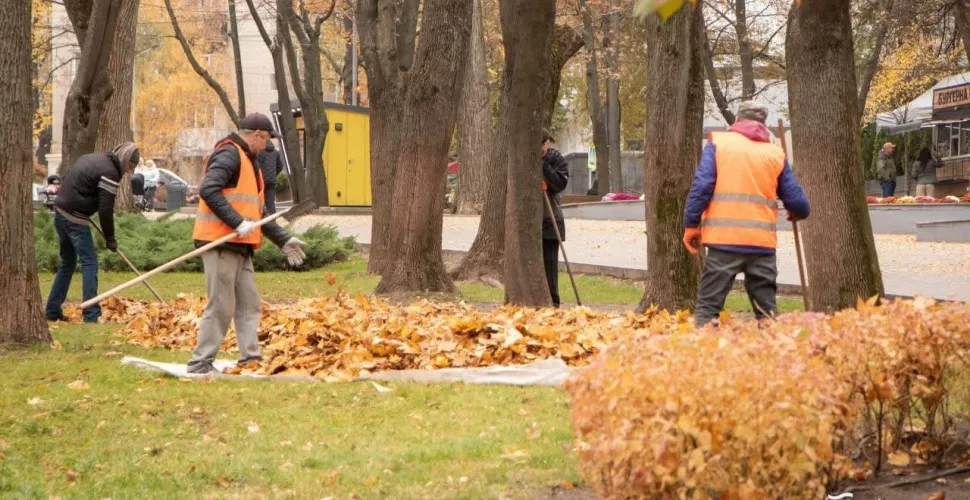 У Дніпрі триває осіннє прибирання зелених зон у межах акції #Чистий_Дніпро
