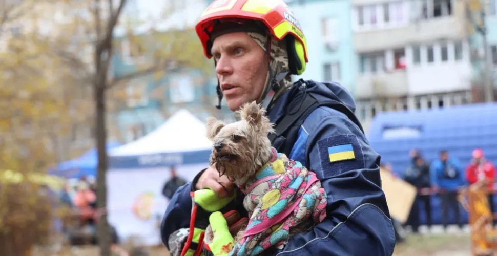 У Дніпрі рятувальники дістали з-під завалів живу собаку